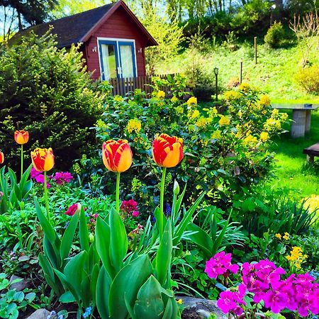 Bed And Breakfast Tvrz Velká Bukovina Εξωτερικό φωτογραφία