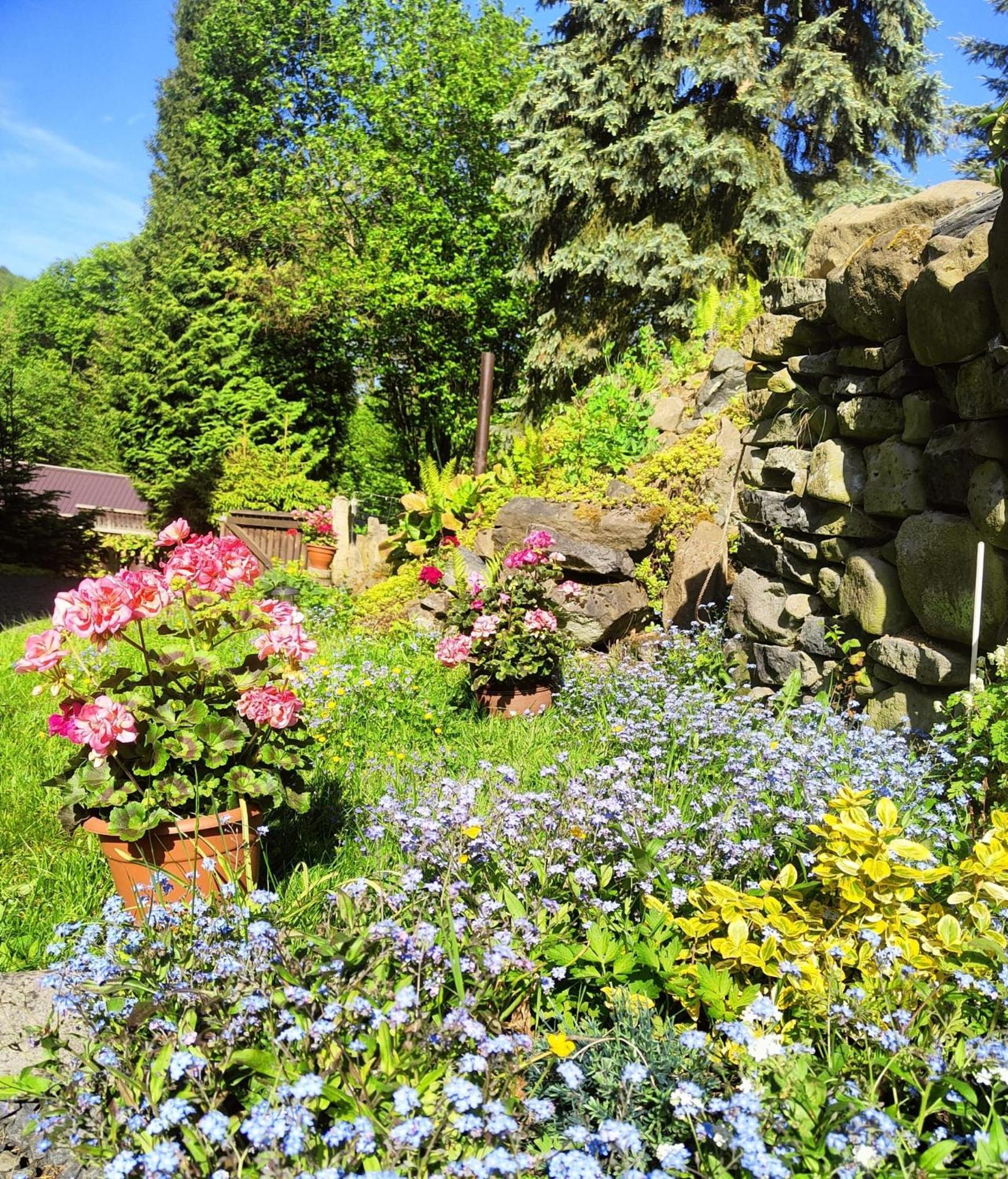 Bed And Breakfast Tvrz Velká Bukovina Εξωτερικό φωτογραφία