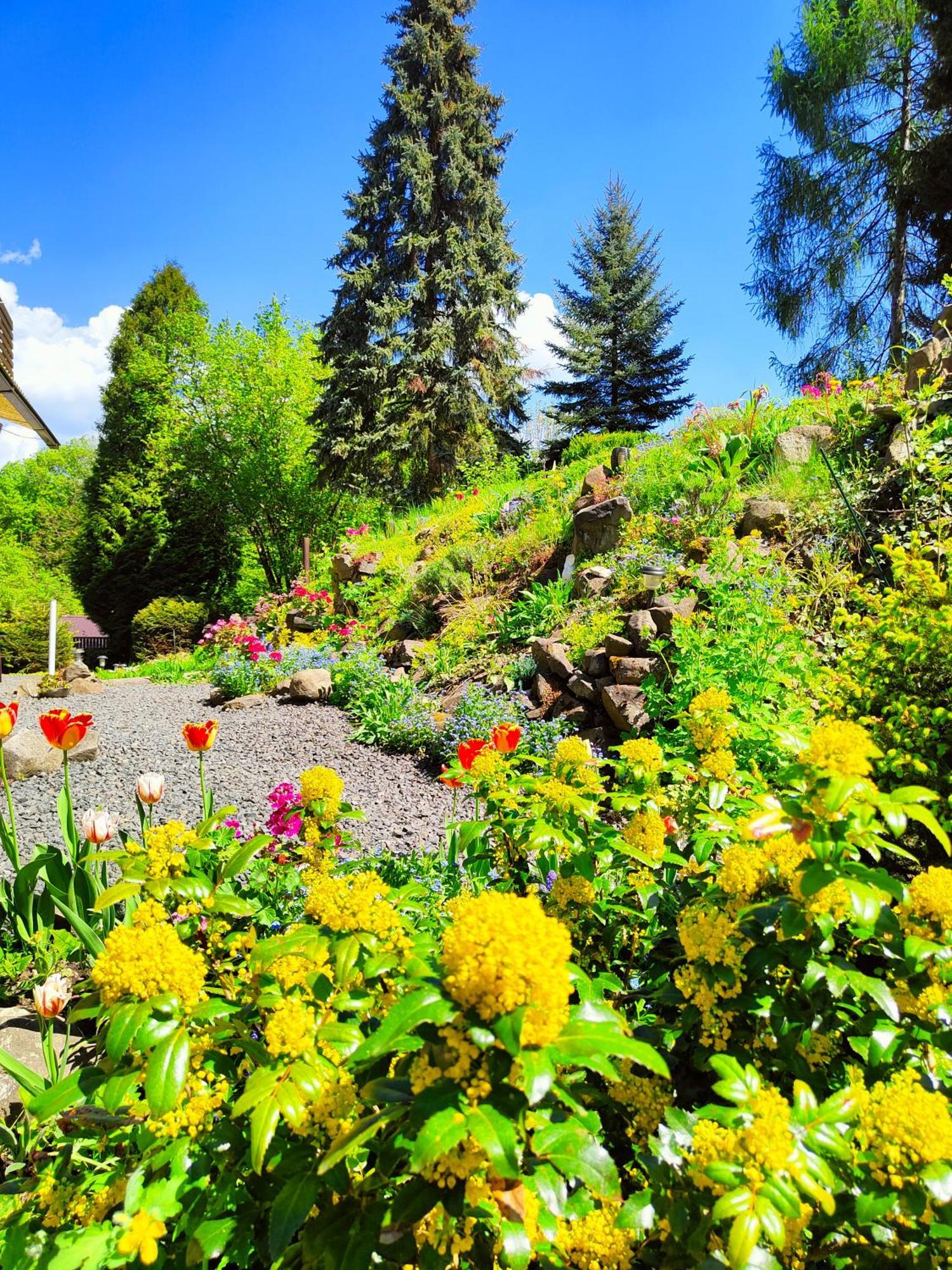 Bed And Breakfast Tvrz Velká Bukovina Εξωτερικό φωτογραφία