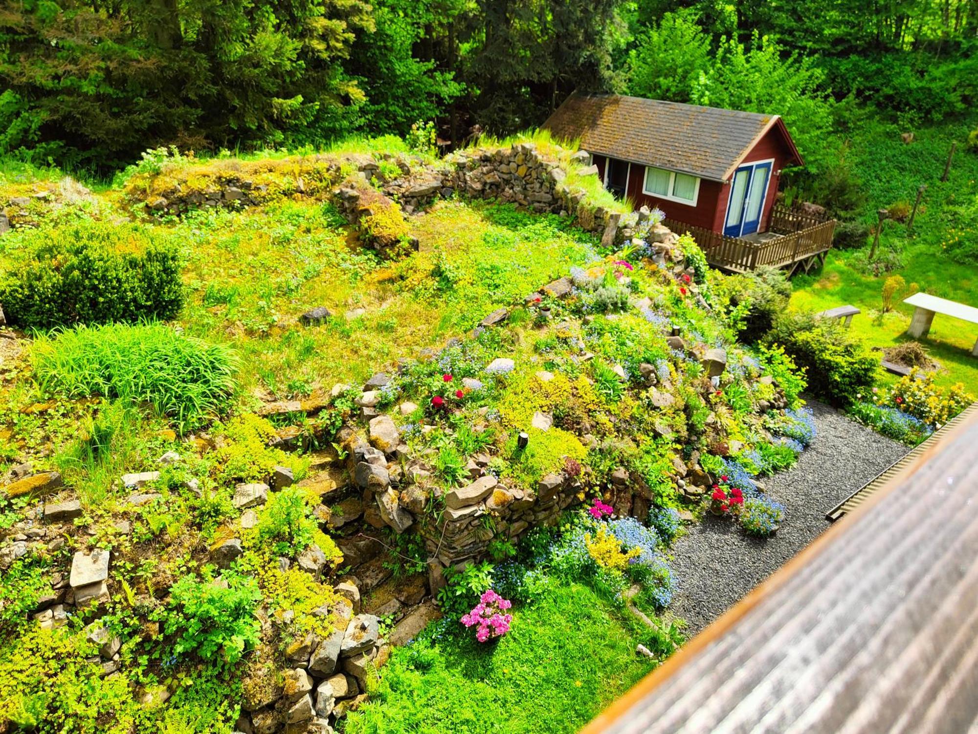 Bed And Breakfast Tvrz Velká Bukovina Εξωτερικό φωτογραφία