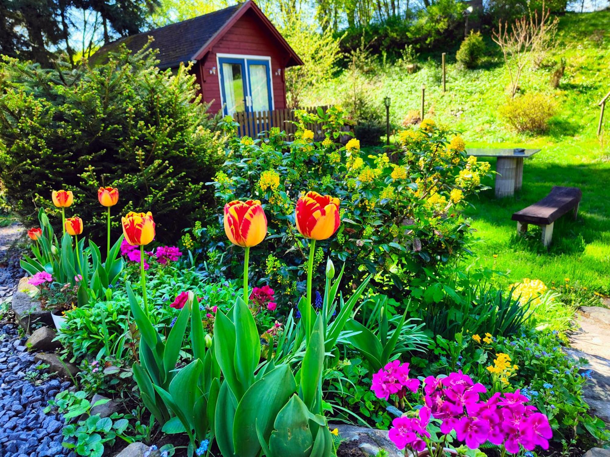 Bed And Breakfast Tvrz Velká Bukovina Εξωτερικό φωτογραφία